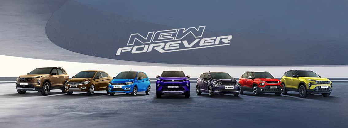 New Forever