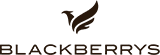 Blackberrys, Kankarbagh Main Road